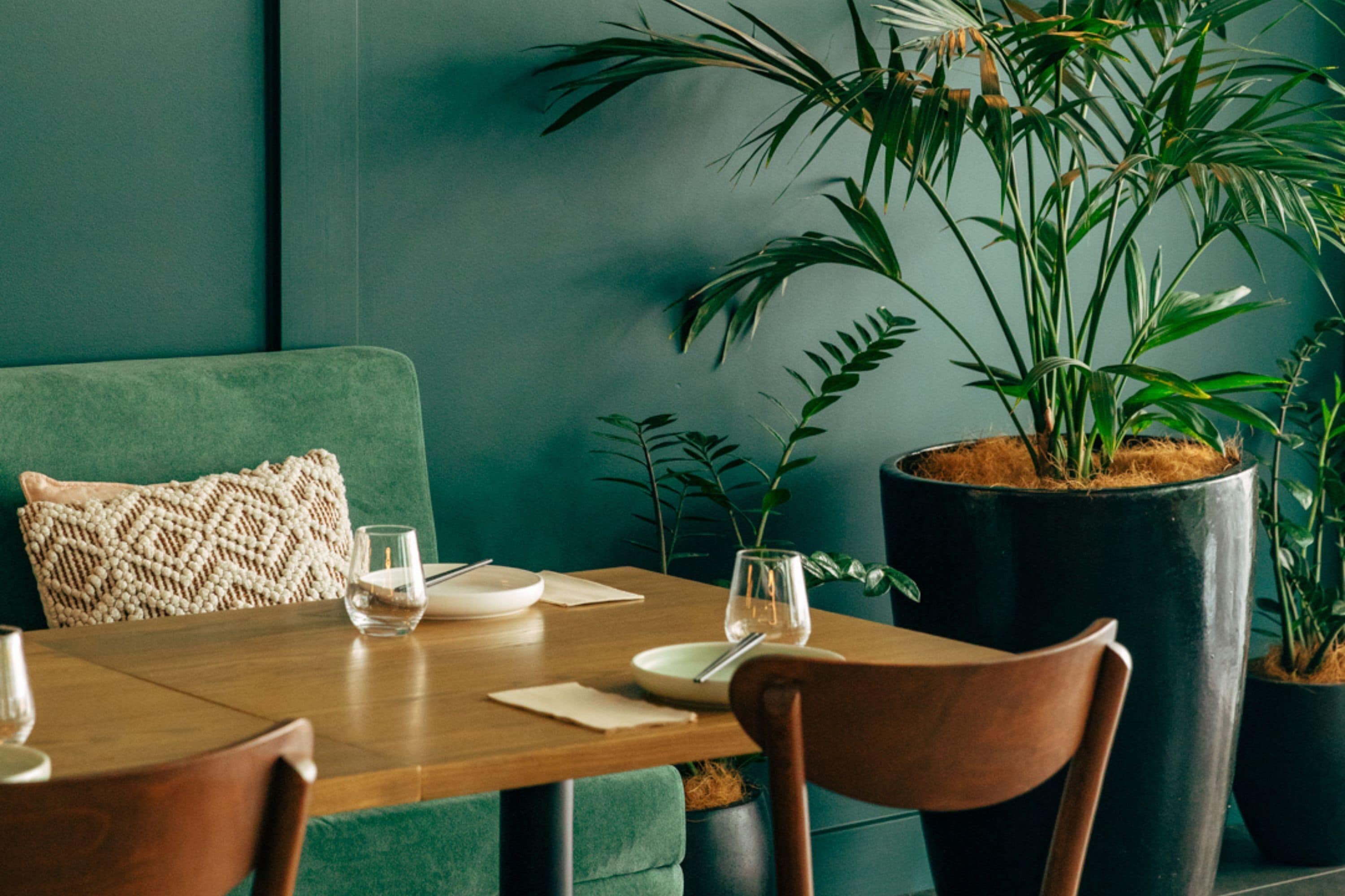 Opções para refeição