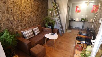 Télévision, cheminée, jeux vidéo, lecteur de DVD