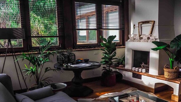 A cozy living room with a fireplace, large windows with blinds, a coffee table, and several potted plants. - Mondello Villa the two palm trees (Palermo)