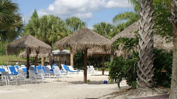 A beach with thatched umbrellas, lounge chairs, and palm trees. - Ev7836ha - Bahama Bay Resort - 3 Bed 2 Baths Condo (Davenport)