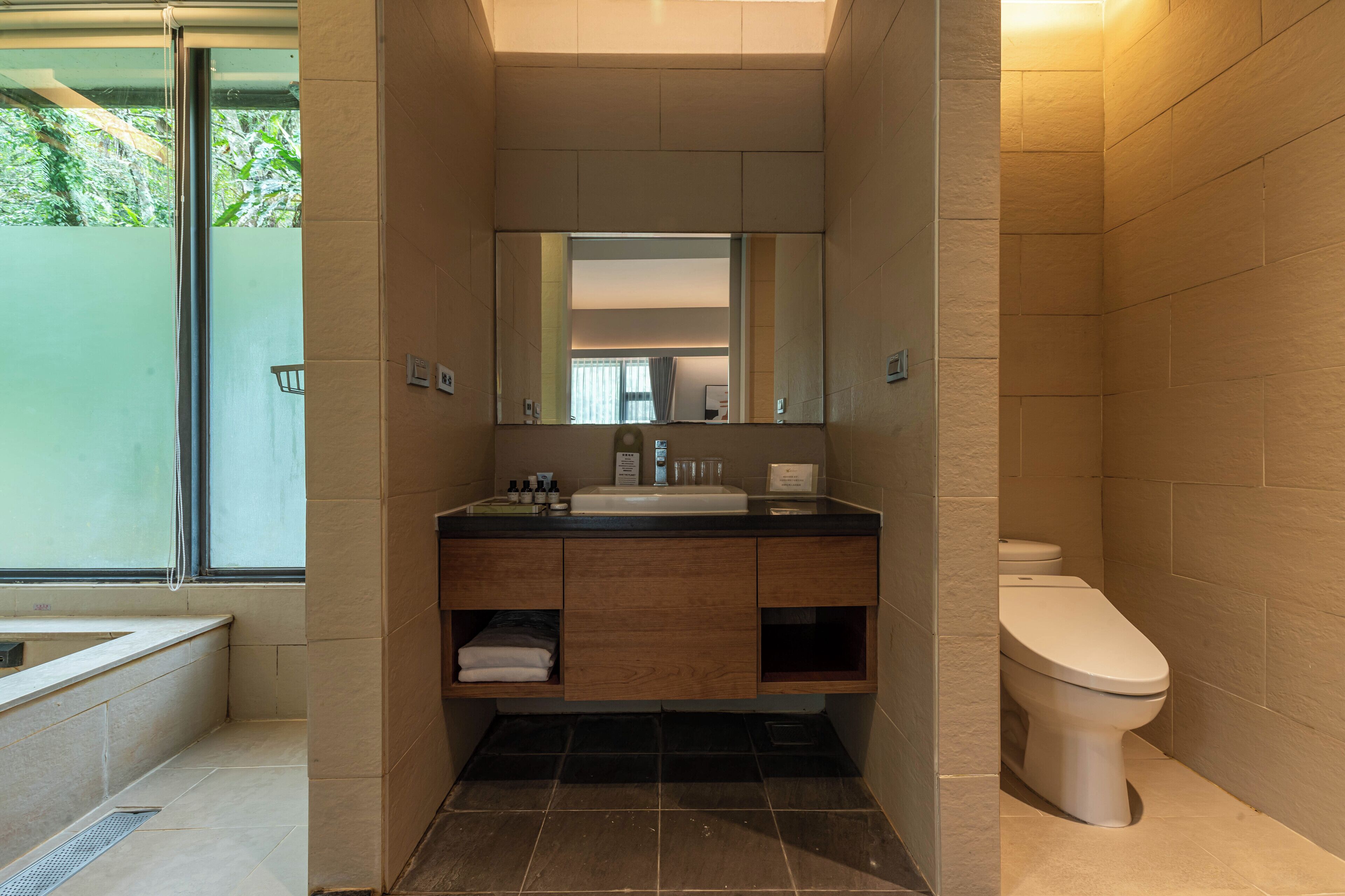 deluxe double room, mountain view | bathroom | separate bathtub and shower, hair dryer, bathrobes, towels