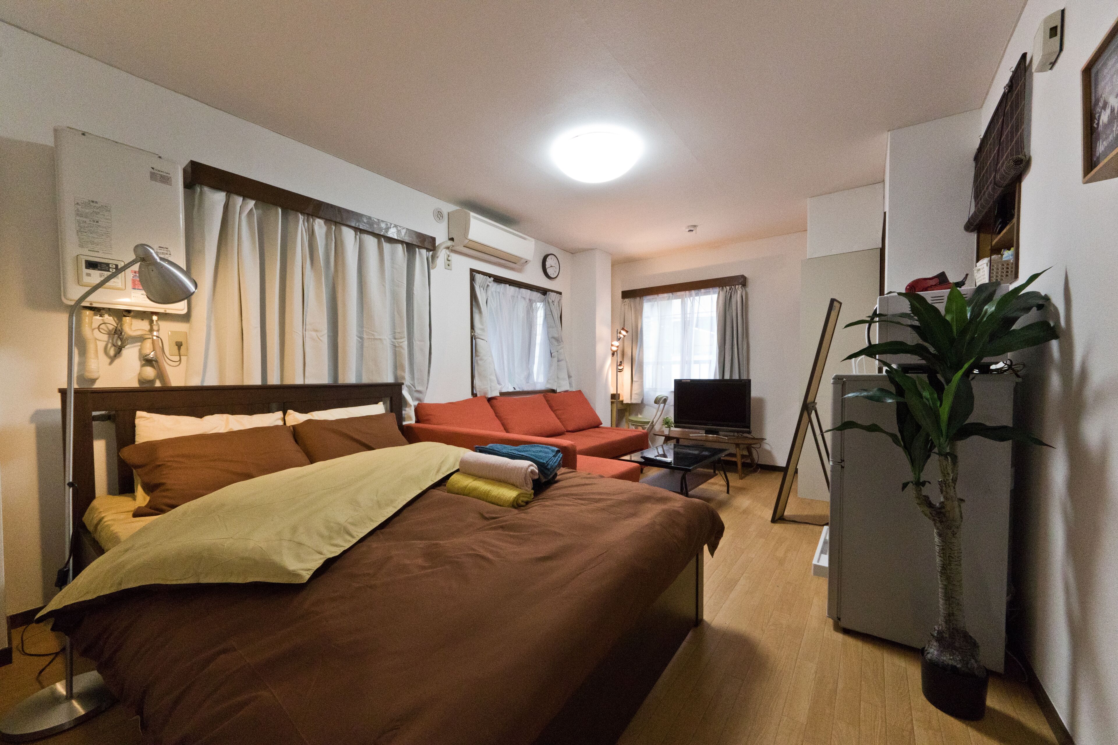 A hotel room with a bed, a sofa, a TV, a refrigerator, and a potted plant.