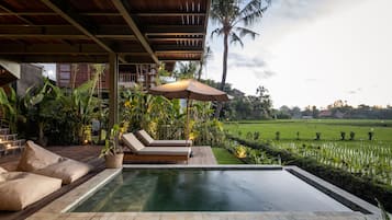 Outdoor pool, pool loungers