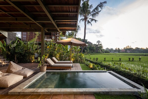 Outdoor pool, pool loungers