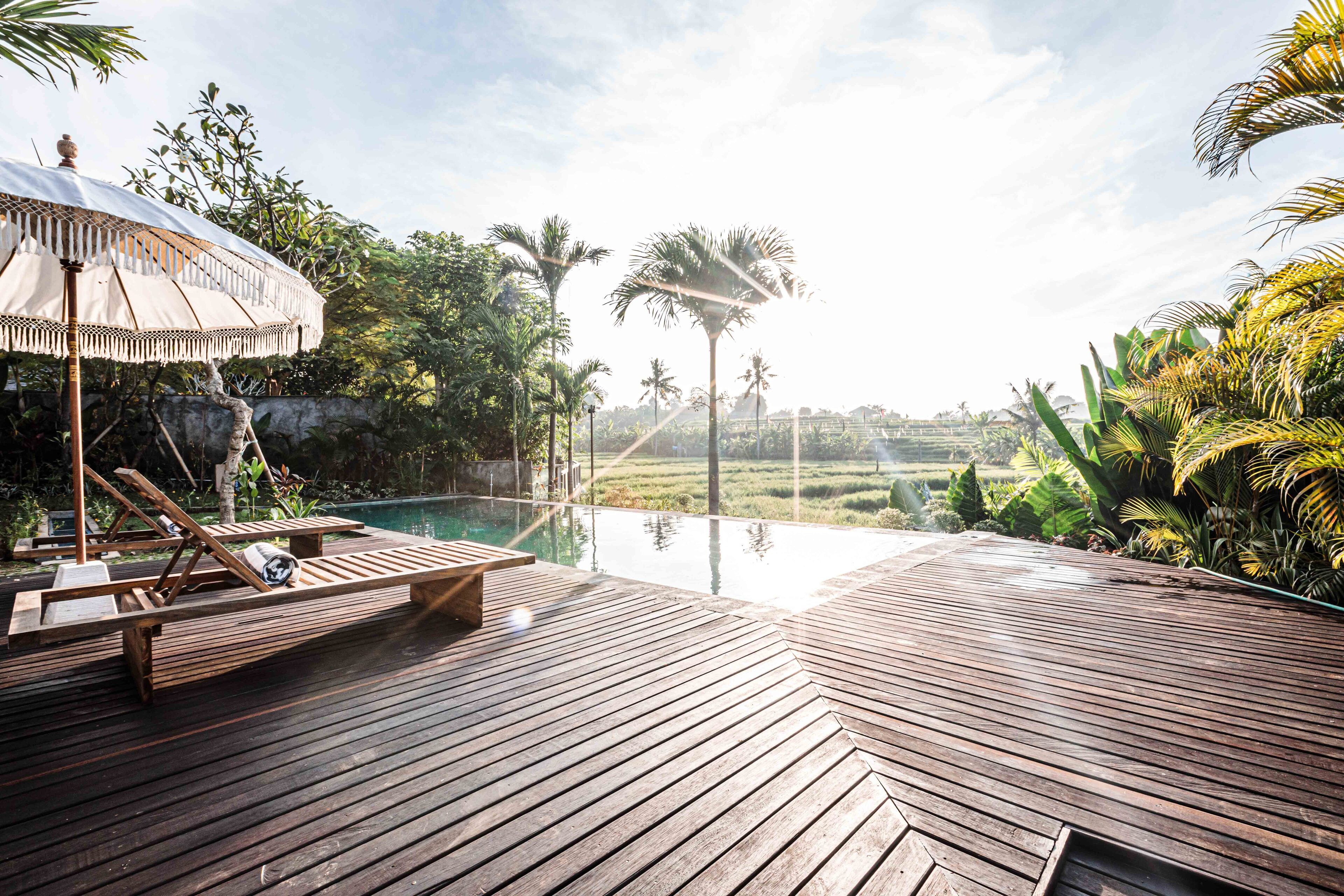 Outdoor pool, pool loungers