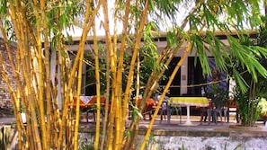 Puutarha