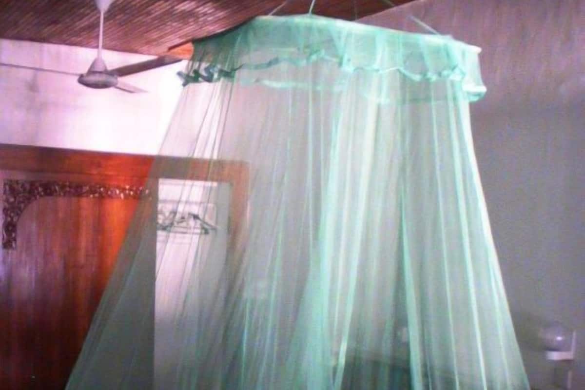 A bed with a mosquito net.