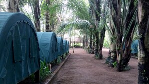 A row of covered structures in a tropical setting with a dirt path between them. - Tegal Dukuh Camp (Taro)