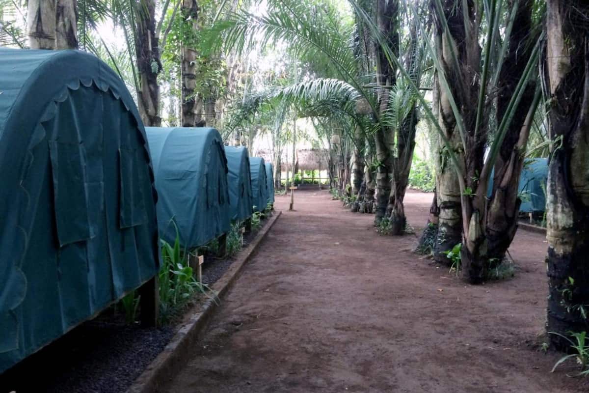 A row of covered structures in a tropical setting with a dirt path between them.