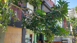 A residential area with a house featuring a balcony, potted plants, and a parked scooter. - Cheap Inn - Hostel (Banyuwangi)