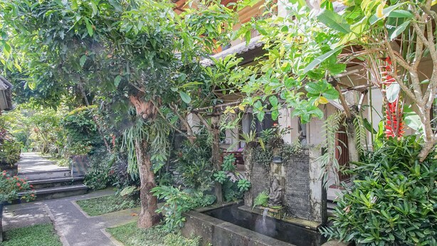 Garden - Matahari House Ubud (Ubud)