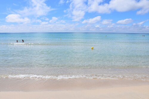 Apt Sunny | a stone's throw from the beach