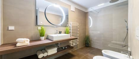 Regadera, secadora de cabello, bidet, toallas