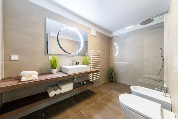 Shower, hair dryer, bidet, towels