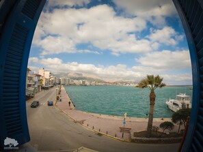 A coastal cityscape with a clear view of the sea, buildings, and a palm tree.