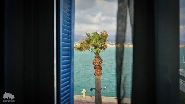 A view of a palm tree by a body of water, with a building in the background.