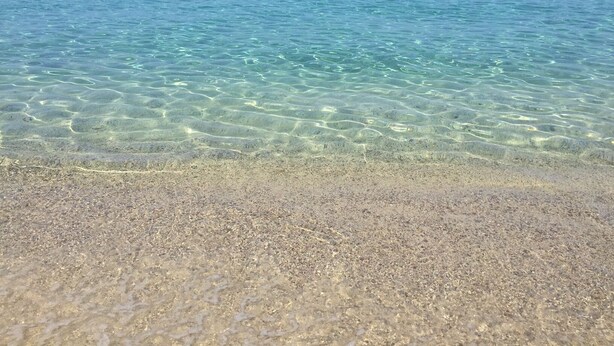 Ein freier Blick auf einen Strand mit flachem Wasser und sandigem Ufer.