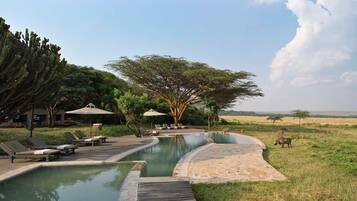 Outdoor pool, pool umbrellas, pool loungers