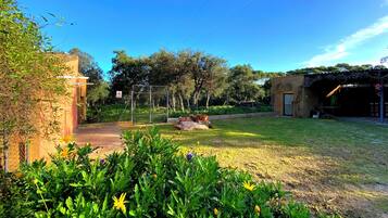 Terrein van de accommodatie