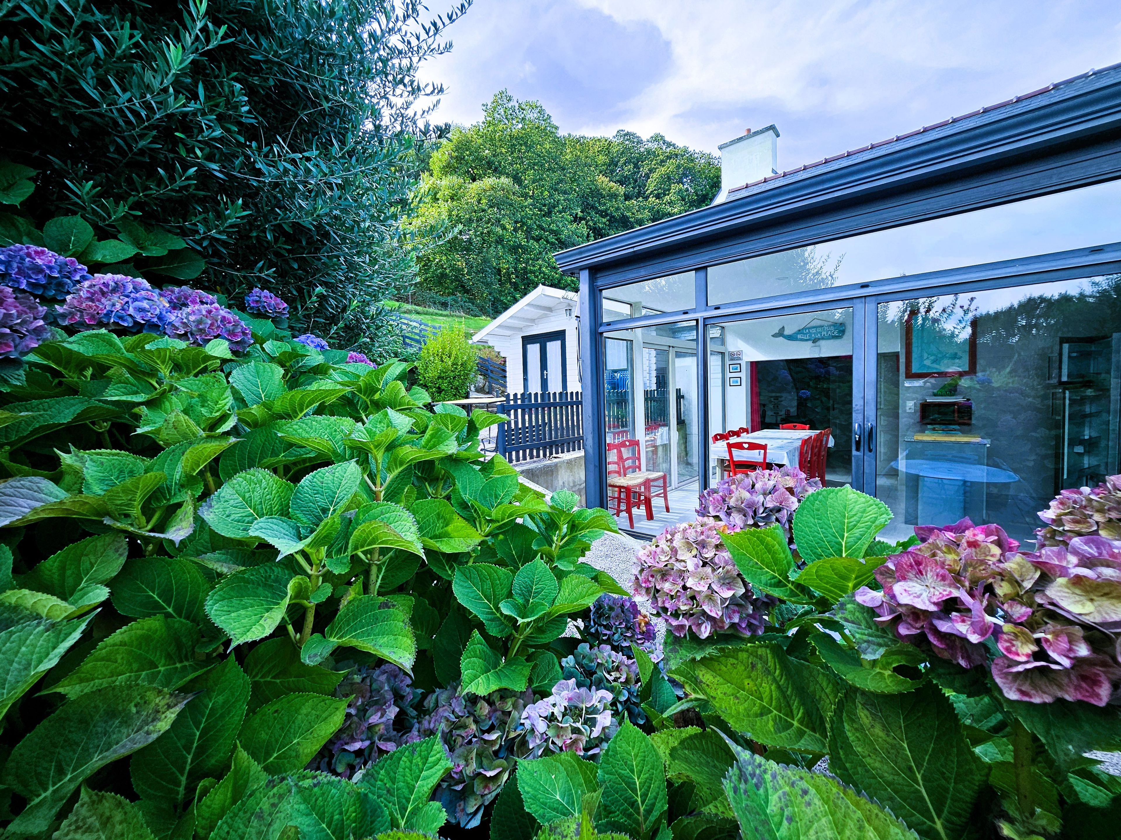 A modern glass conservatory with a dining area, surrounded by lush greenery and hydrangea flowers.