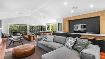 Télévision, cheminée, livres, chaîne hi-fi