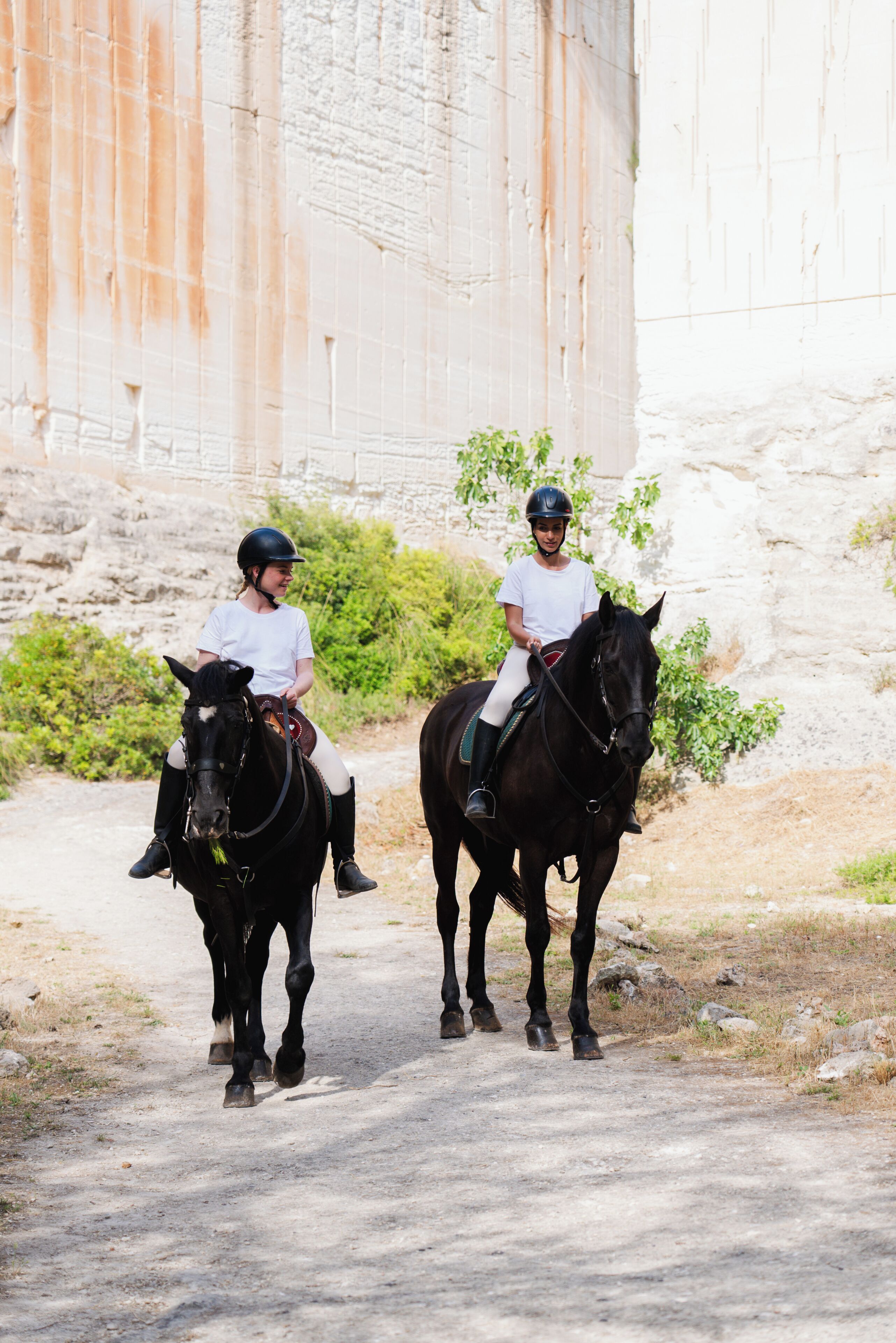 Paseos a caballo
