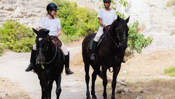 Paseos a caballo