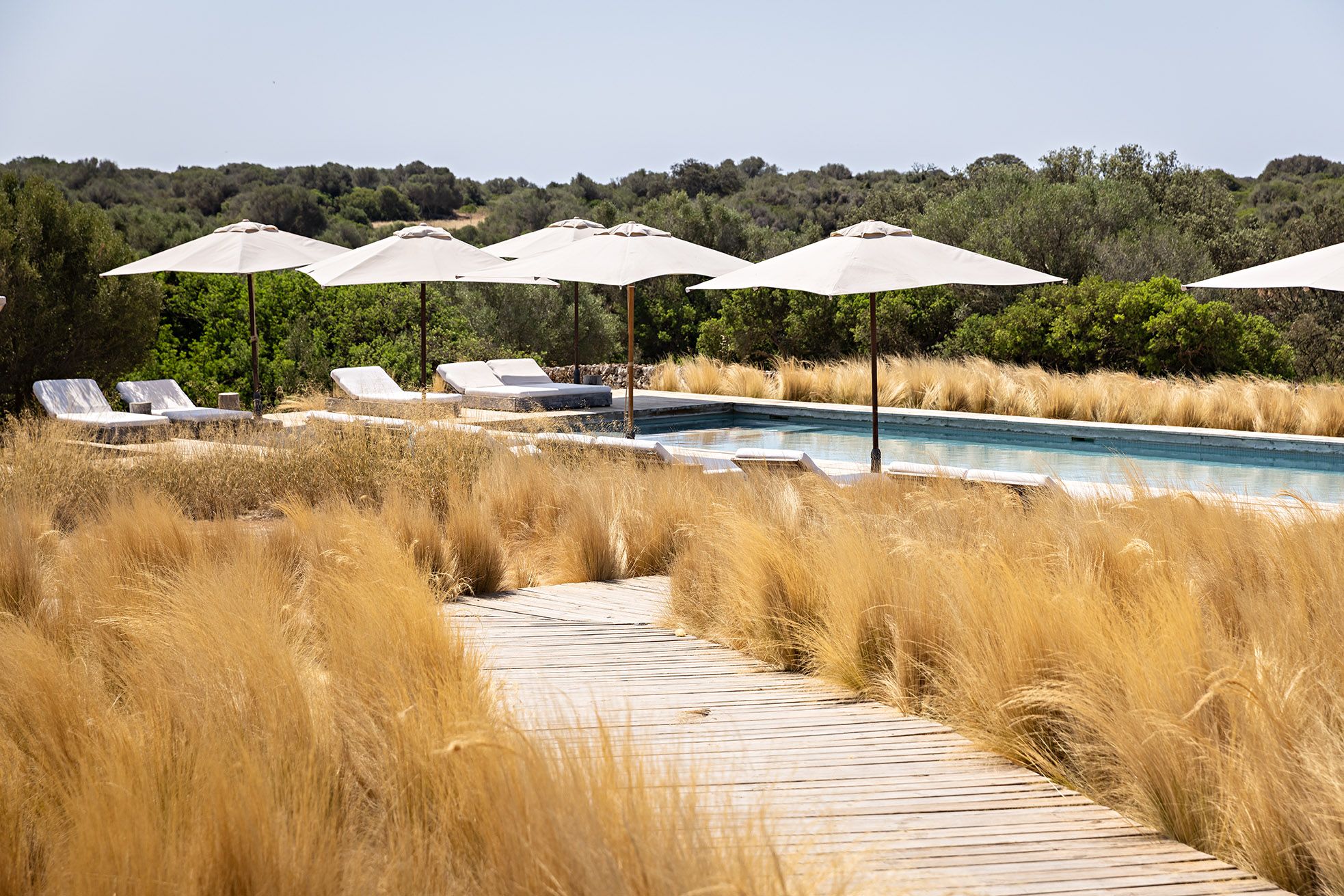 A pool area with lounge chairs and umbrellas, surrounded by tall grass and trees.