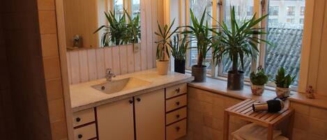 Casa de banho com lavatório, espelho, plantas em vasos e porta-toalhas.