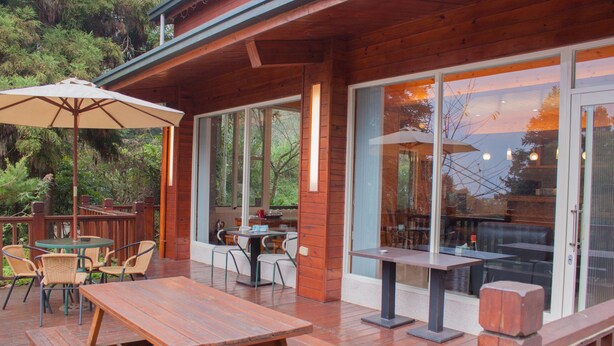 An outdoor wooden deck with picnic tables and chairs, large windows, and a view of the surrounding forest.