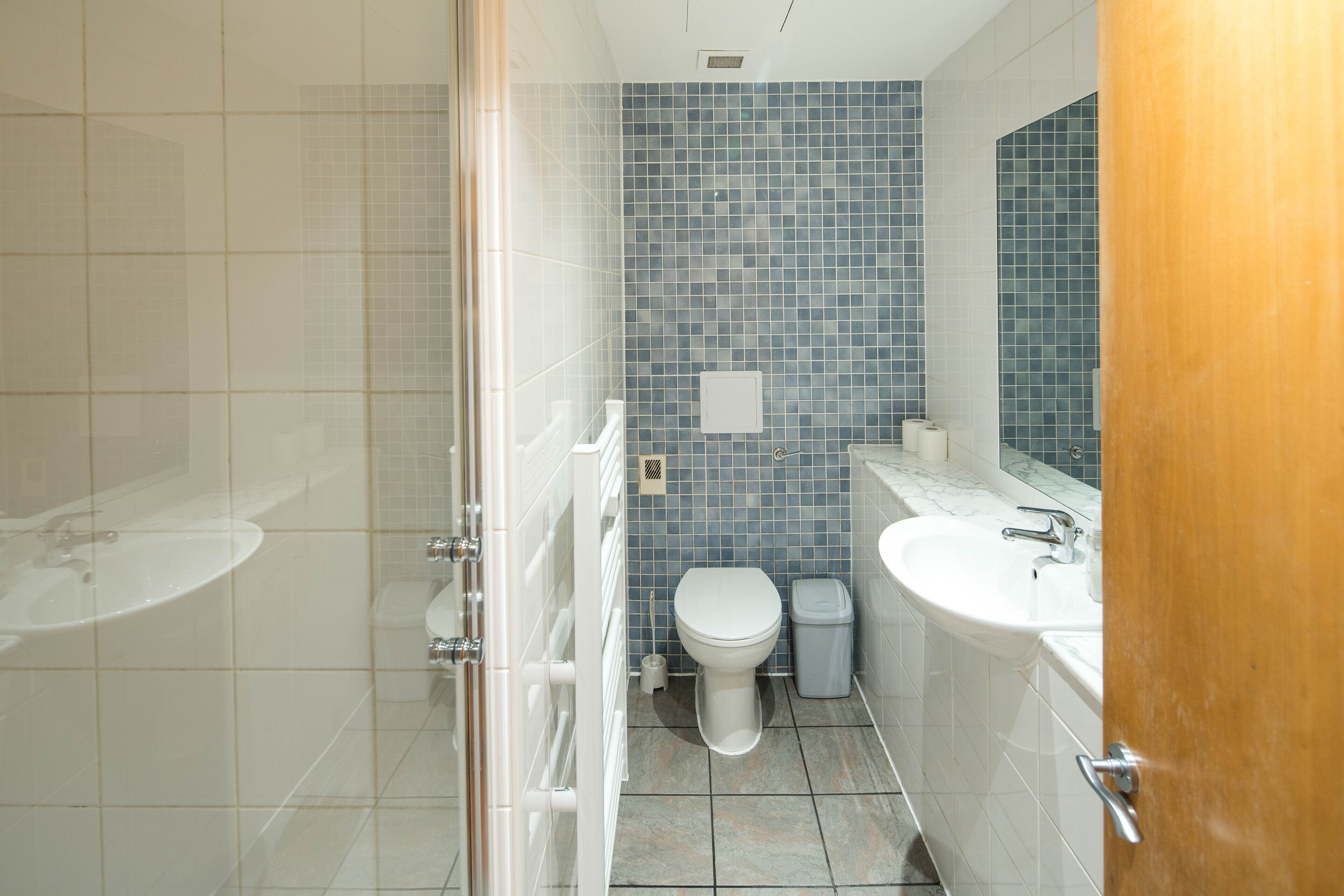 A bathroom with a glass shower enclosure, a toilet, a sink, and a mirror.