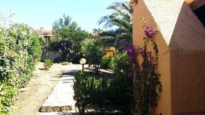 Jardim