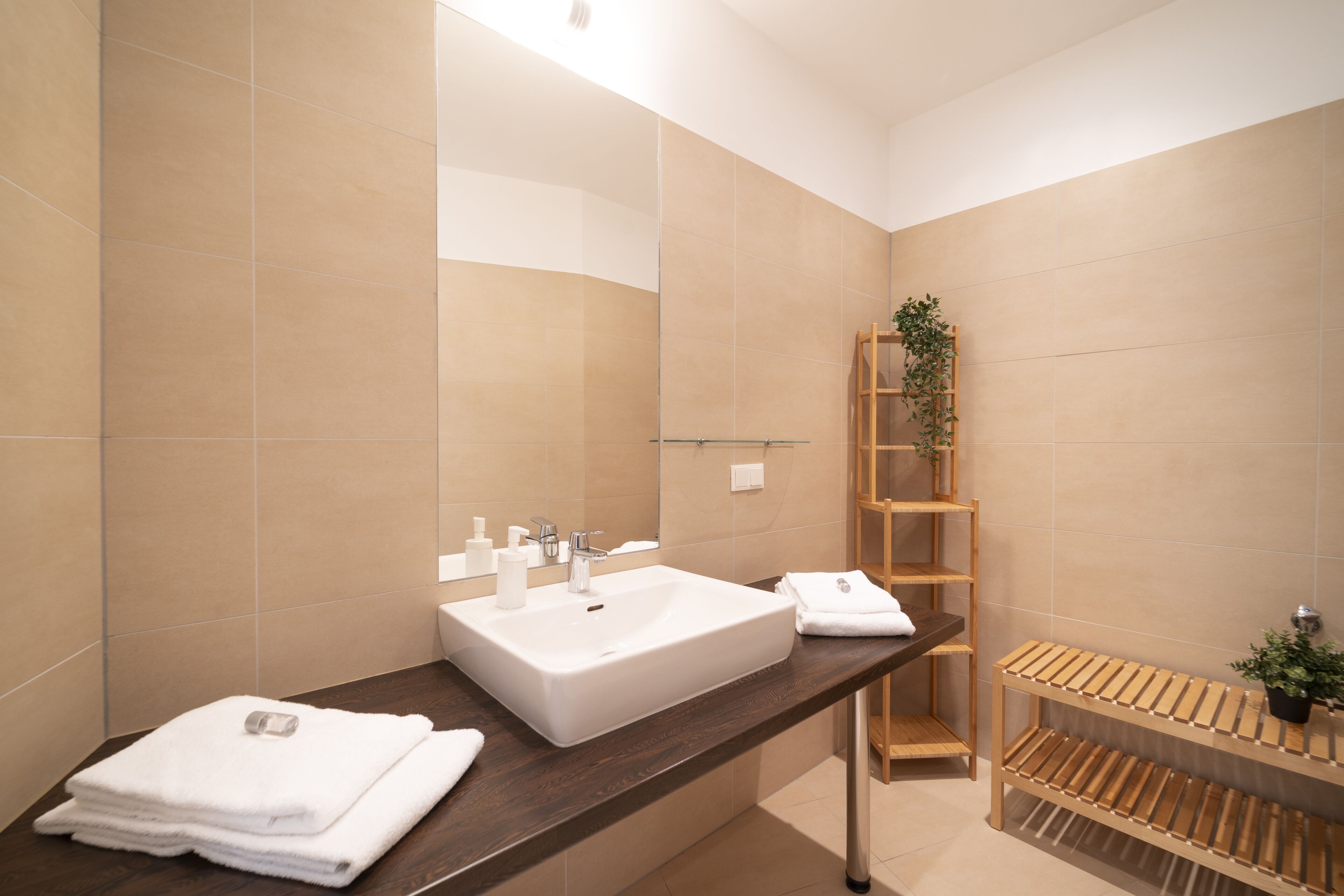 A modern bathroom with a large sink, a mirror, and a wooden shelf with a plant.