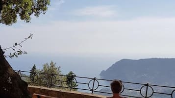 Vue depuis l’hébergement