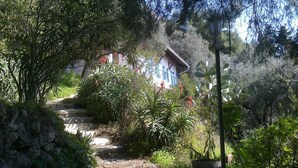 Un chemin menant à une maison entourée d’une végétation luxuriante et d’un mur de pierres.