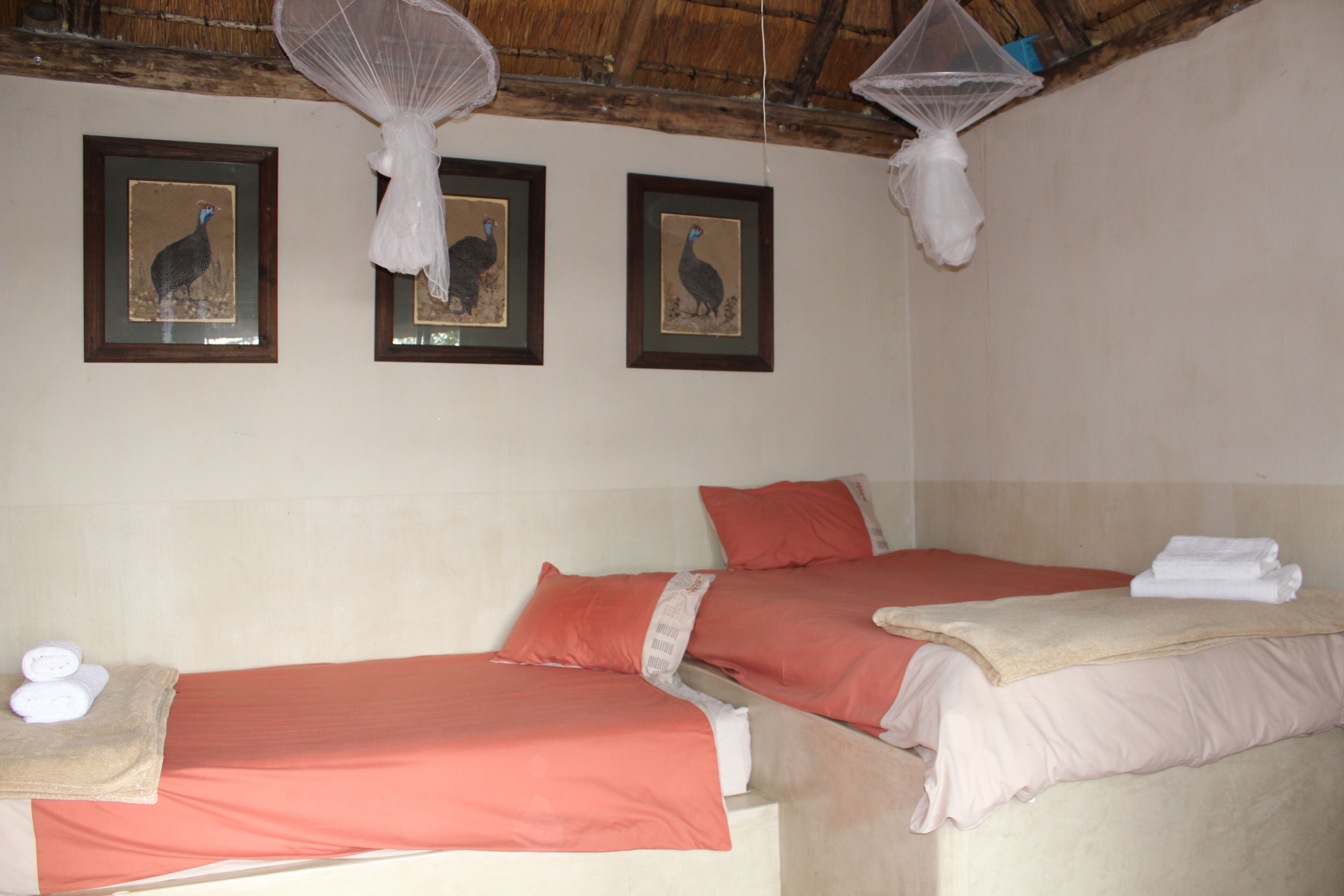 Habitación de hotel con dos camas, cada una con cubrecama rojo y beige, y una mesita con toallas. En la pared hay tres cuadros enmarcados de un pájaro.