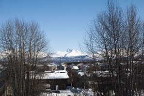 Exterior - ***Newly Updated 2BD 1.5BA Townhouse*** (Anchorage)