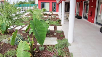 Puutarha