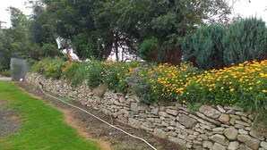 En stenvæg med en have, der har gule blomster og grønne buske.