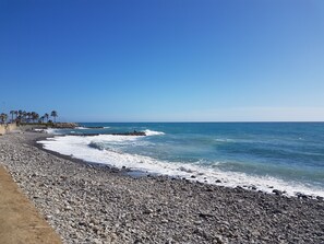 A rocky beach with waves, palm trees, and a clear sky.