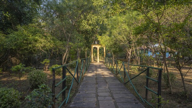 حديقة