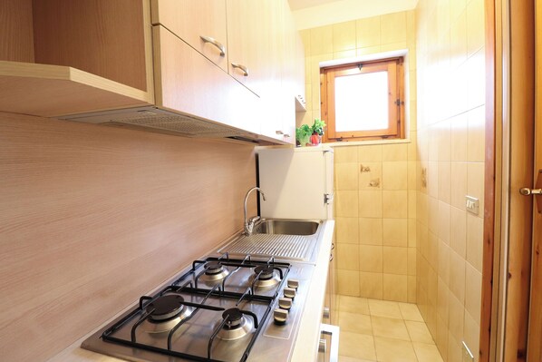 Una cocina compacta con estufa a gas, un lavamanos y armarios de madera.