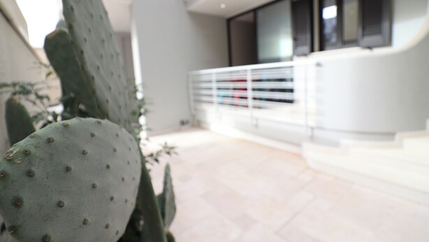 A cactus in a modern indoor setting with a white railing and a large window in the background. - Modern Apartment "casa Giuditta Deluxe A Otranto" (Otranto)