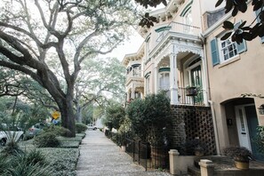 A tree-lined street with historic buildings featuring balconies and brickwork. - Luxurious 1883 Classic on a Prime Jones Street Block by Lucky Savannah (Savannah)