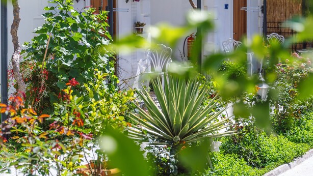 Un edificio tradicional con techo de tejas rojas, paredes blancas y un jardín con diversas plantas y flores.