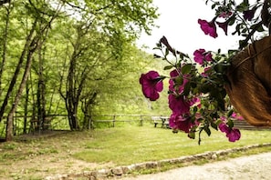 Garden view - Grab Ethno Village and Camp (Pluzine)