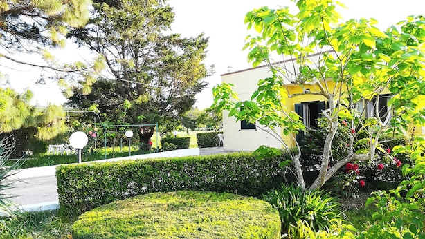 Un jardin bien entretenu, avec des haies taillées avec soin, une variété d’arbres et un bâtiment à la façade jaune.