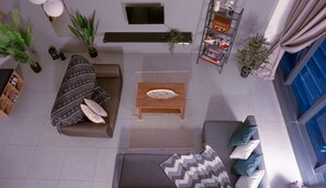 TV, Netflix, books, streaming services