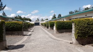 A pathway leading to a row of buildings with green roofs and hedges on either side.