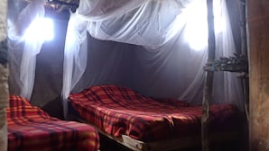 A room with two beds, each with a red plaid blanket. There is a mosquito net above the beds, and a wooden structure to the right. - Olonyori Maasai House (Maasai Mara)